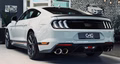 Daumennagel 5 - Ford Mustang Mach 1 MagneRide StylingPaket
