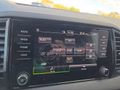 Daumennagel 42 - Skoda Karoq 1,5TSI DSG 18*Alu/aAHK/ACC/Kamera/Winterp.       **