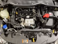 Daumennagel 15 - Ford Fiesta 1.0 EcoBoost S&S TITANIUM Winter-Paket
