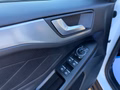Daumennagel 19 - Ford Focus Turnier Titanium ACC Navi Kamera AHK