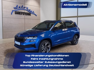 Skoda Karoq age.one-day registration Kaufen