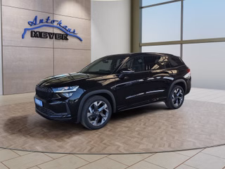 Skoda Kodiaq age.one-day registration Kaufen