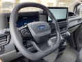 Ford Kastenwagen 320L2 Trend - bilder 2