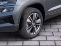Daumennagel 6 - Skoda Karoq 2.0 TDI Tour Matrix, Kessy, Panorama