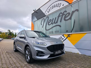 Ford Kuga Gebrauchtwagen Kaufen