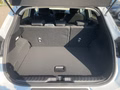 Daumennagel 8 - Ford Puma 1.0 EcoBoost Hybrid Titanium ACC/RFK/LED
