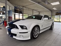 Daumennagel 1 - Ford Mustang Shelby GT 500 SVT