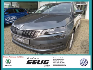 Skoda Karoq 1.6 TDI 7-Gang DSG Style, ACC, Amundsen,