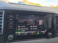 Daumennagel 24 - Skoda Karoq 1,5TSI DSG 18*Alu/aAHK/ACC/Kamera/Winterp.       **