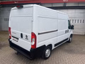 Daumennagel 6 - Fiat Ducato Hochr.-Kasten 30 L2H2