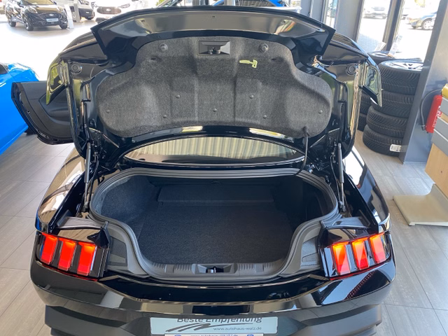 Ford Mustang Fastback DARK HORSE + RECARO - bilder 10