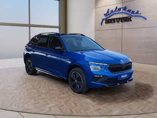Skoda Kamiq age.one-day registration Kaufen