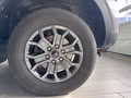 Daumennagel 7 - Ford Ranger Wildtrak e-4WD Doppelkabine + Hardtop