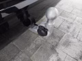 Thumbnail 13 - Volkswagen T7 Multivan Style AHK/EASYOPEN/ACC/FAHRWERKADAPT