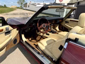 Daumennagel 28 - 1989 Jaguar XJS V12 Automatik Convertible