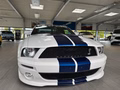 Daumennagel 7 - Ford Mustang Shelby GT 500 SVT