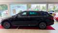 Daumennagel 2 - Skoda Superb Combi L&K 4x4