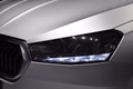 Daumennagel 18 - Skoda Fabia Active/Car Pay/Navi/1 Hand