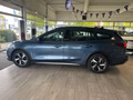 Daumennagel 7 - Ford Focus Turnier Active + SHZ + HUD + AHK