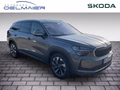 Daumennagel 2 - Skoda Kodiaq 2.0 TDI DSG 4x4 Selection AHK, 360°,