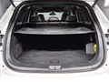 Daumennagel 17 - Borgward BX7 2.0 TS 4X4 LIMITED EDITION|PANO|NAVI|LEDER
