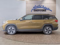Daumennagel 2 - Skoda Kodiaq 2,0TDI DSG 4x4 AHK/4*J.Gar/Navi/el.Klappe/Kamera  **