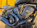 Daumennagel 11 - Indian Scout 101 Limited + Tech MY 2026