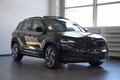 Daumennagel 5 - Skoda Karoq Sportline 4x4  AUT NAV LED PANO 360°
