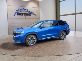 Skoda Kodiaq age.one-day registration Kaufen