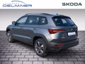 Daumennagel 4 - Skoda Karoq 2.0 TDI Tour Matrix, Kessy, Panorama