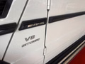 Daumennagel 10 - Mercedes-Benz G 63 AMG PANO/AHK/H&K
