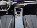 Daumennagel 12 - CUPRA Terramar 1.5 eTSI DSG ACC/Kessy/el.Klappe/Winterp. **