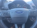 Daumennagel 30 - Ford Grand C-Max 1.5TDCi 7-Sitzer/AHK/Navi/el.Klappe
