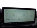 Daumennagel 37 - Ford Focus ST-Line X 1.0 155PS Aut. UPE=41700€     **