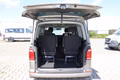 Daumennagel 9 - Volkswagen T6 Multivan Trendline BEHINDERTENGERECHT LIFT
