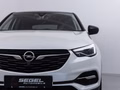 Daumennagel 7 - Opel Grandland Innovation /KAM/NAVI/LED/SHZ/