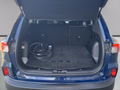 Daumennagel 10 - Ford Kuga Plug-In Hybrid Cool & Connect