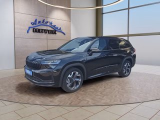 Skoda Kodiaq age.one-day registration Kaufen
