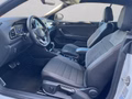 Daumennagel 12 - Volkswagen T-Roc Cabrio Black R Line 1.5 TSI DSG Matrix+Navi+ACC+Kamera