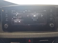 Daumennagel 25 - Skoda Kamiq Selection 1,0TSI 115PS Kessy/Kamera/Temp/2-Z.Klimaaut.