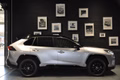 Daumennagel 5 - Toyota RAV 4 RAV4 Hybrid 4x4 Style Selection