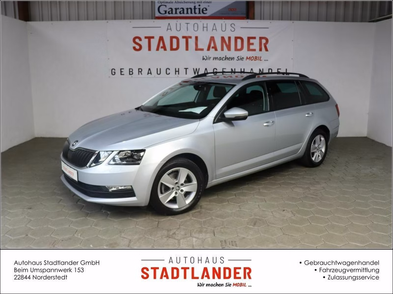Skoda Octavia Combi 2.0 TDI 4x4 DSG Ambition / LED