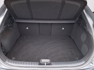 Kia XCeed 1.5 T-GDI Platinum Edition AUTOMATIK / AHK / PANORAMA - bilder 11