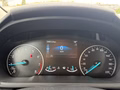 Daumennagel 16 - Ford EcoSport 1.0 EcoBoost Titanium RFK/BLIS/LED/DAB