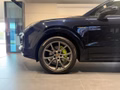 Daumennagel 4 - Porsche Cayenne E-Hybrid Platinum Edition