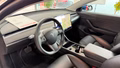 Daumennagel 17 - Tesla Model 3 Long Range Dual AWD