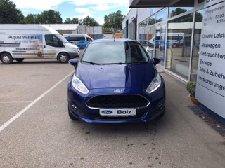 Ford Fiesta Trend, Winter P., 1Ste Hand