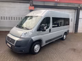 Daumennagel 4 - Fiat Ducato Hochr.-Kombi 8.Sitzer Behindertengerecht