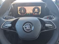 Daumennagel 24 - Skoda Kodiaq 2,0TDI DSG 7-Sitzer/Matrix/Navi/ACC/el.Klappe/Kamera  **