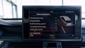 Daumennagel 39 - Audi A6 3.0TDI QUATTRO COMPETITION RS SITZE ACC TOT